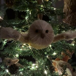Adorable Cream Owl Ornament